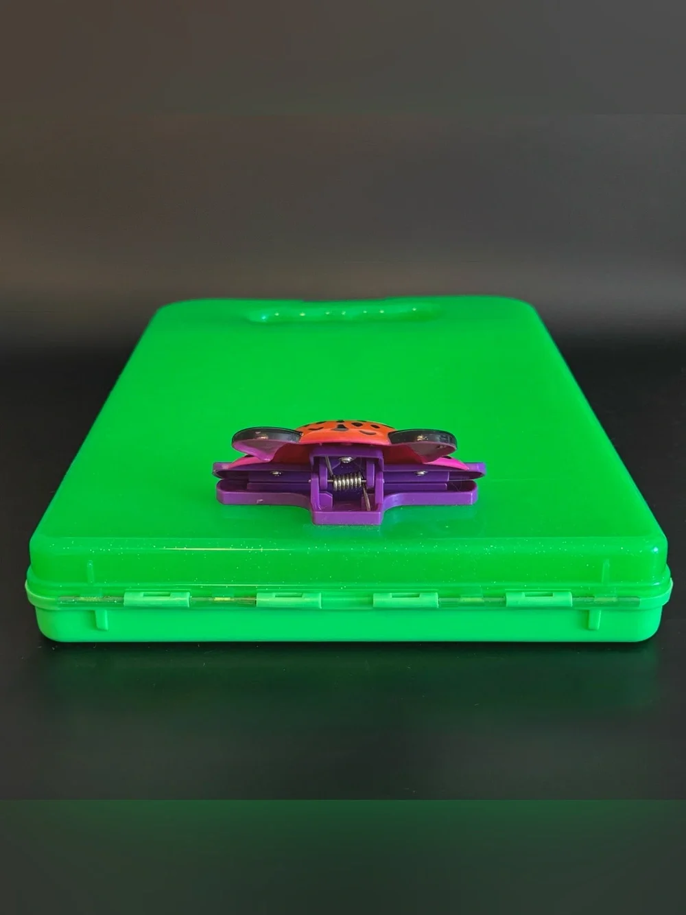LISA FRANK Tiger Green Clipboard Storage Case & Glamour Dolls Blush Brush